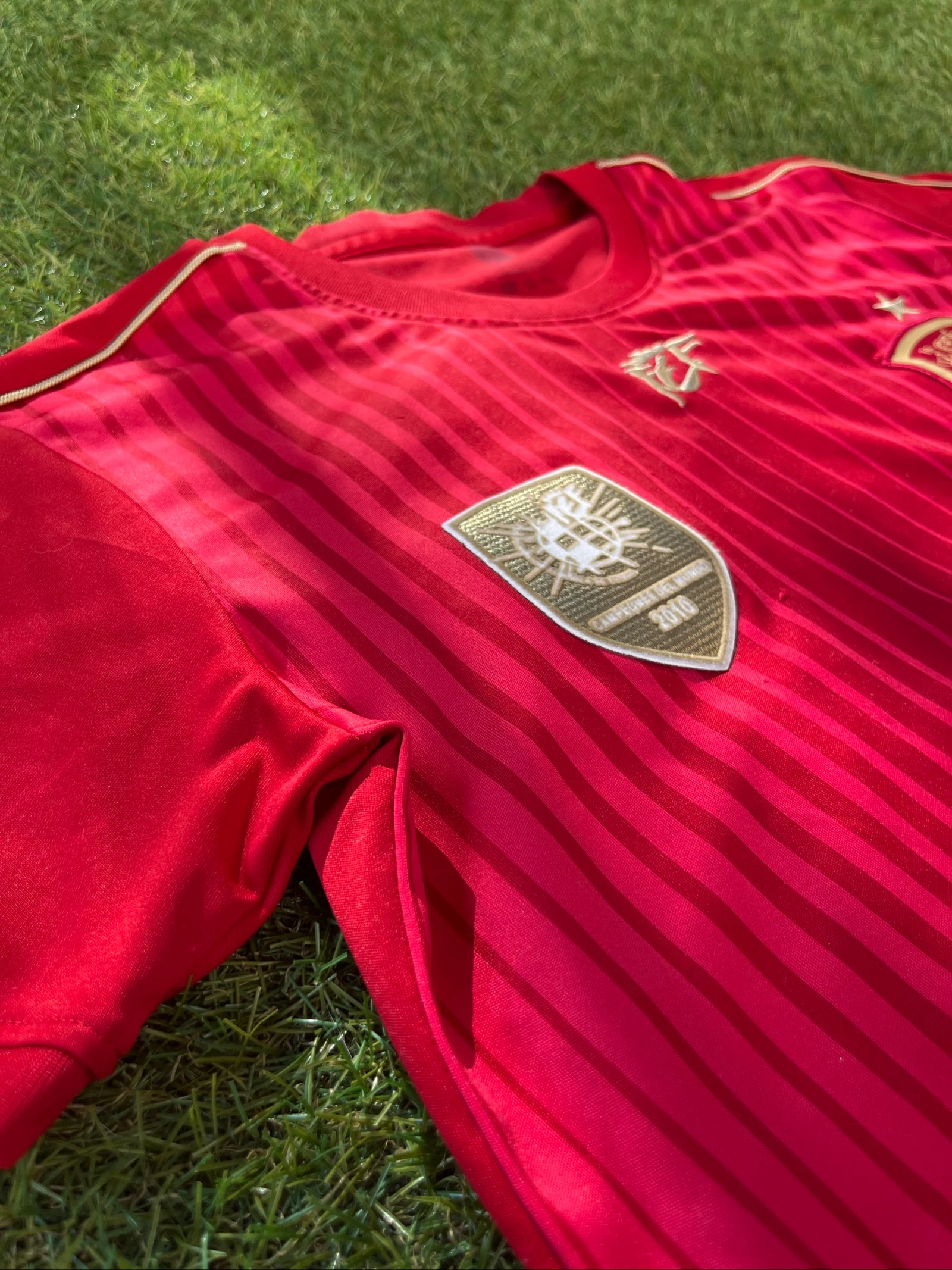 Camiseta Espanha | Campeões do Mundo 2010 | Vermelha | Tamanho 12 anos – photo 3